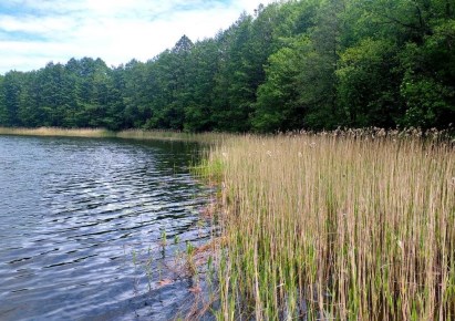 działka na sprzedaż - Sejny (gw), Dubowo